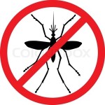 No Mosquitoes